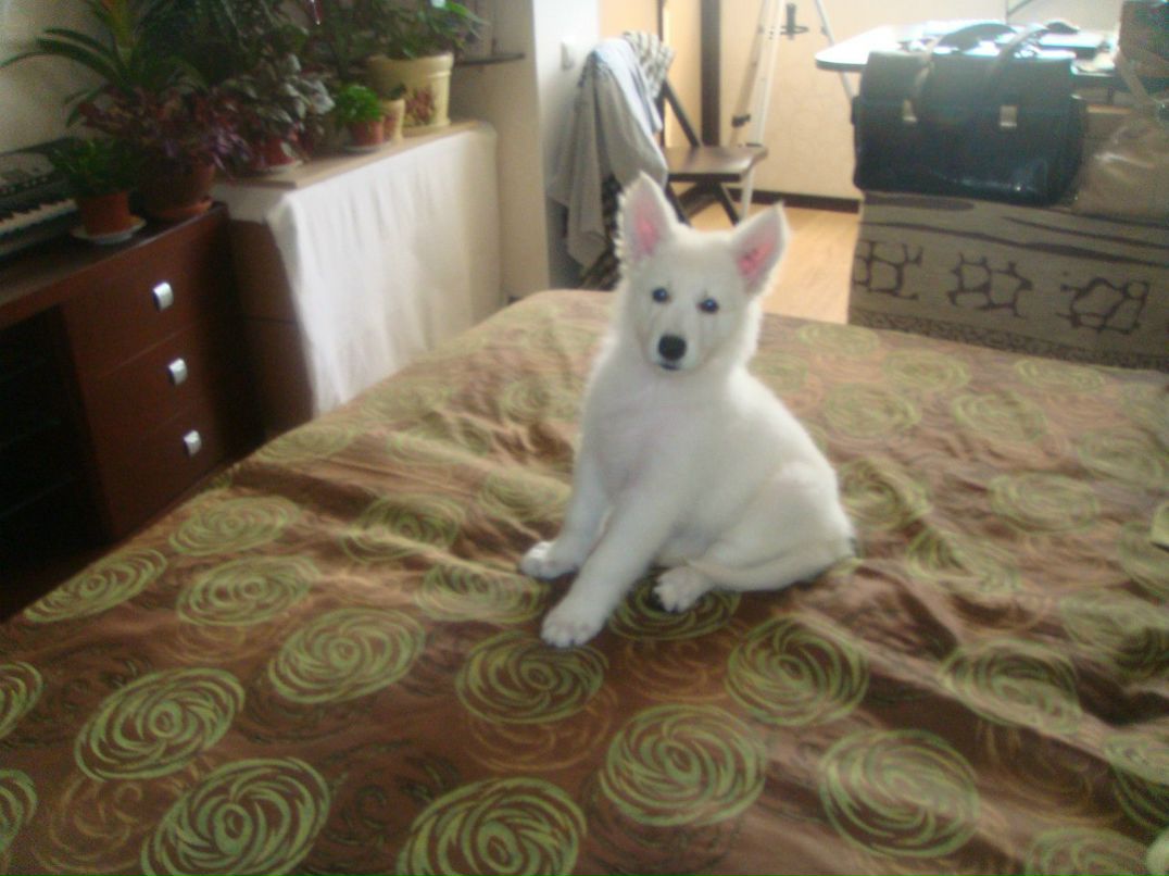 Влад Якубовский | Ивано-Франковск