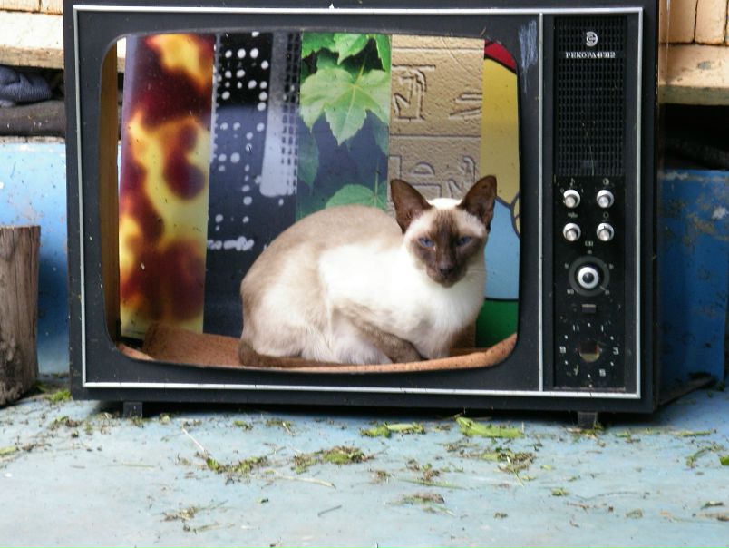 №16, Андрей Семин, 54 года, Ашхабад №16, Андрей Семин, 54 года, Ашхабад