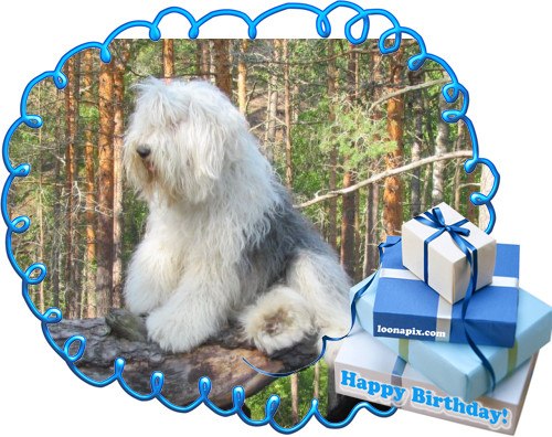 Маргарита Гуденко | Санкт-Петербург