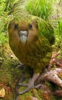 Владислав Олейников Николаевич | Йошкар-Ола