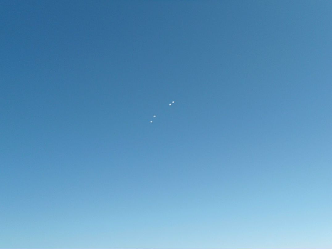 Аликсэй Шко | Курган