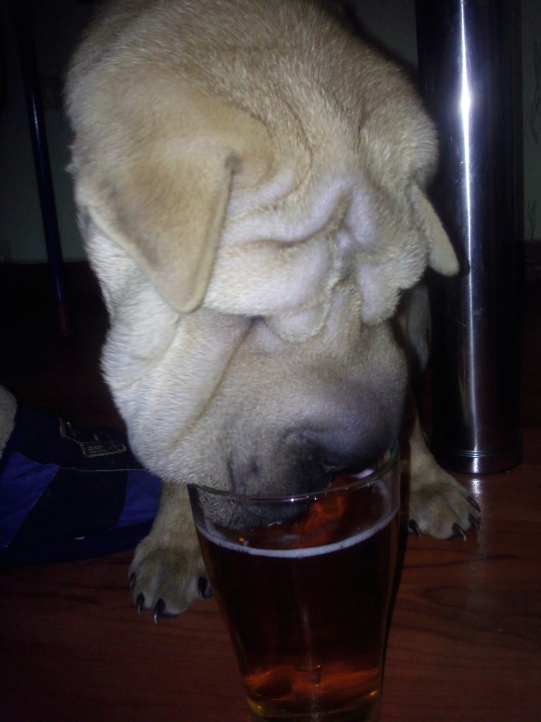 Светлана Журавкина | Слоним