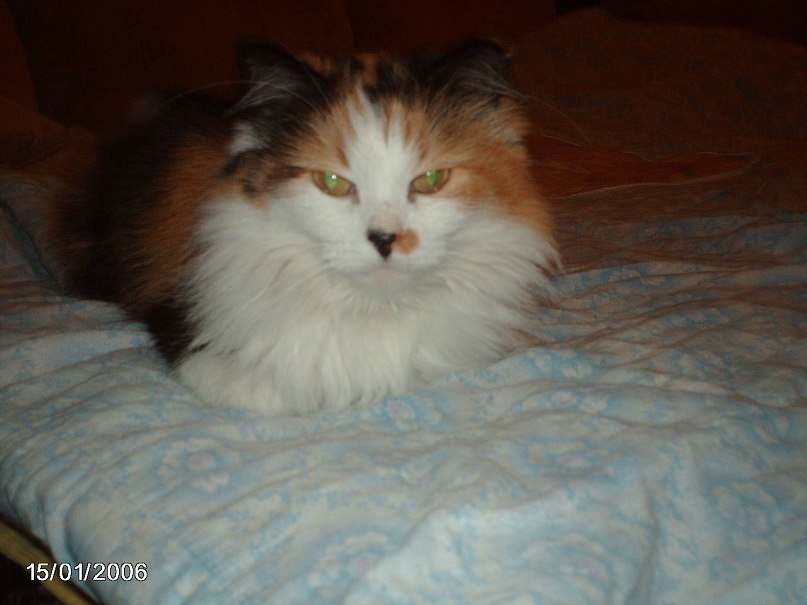 Светик Пакалова ♥ ♥ ♥ ♥ ♥ | Сегежа