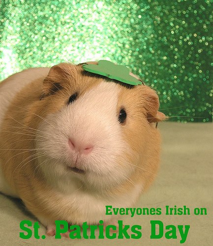 Инна Зароченцева | 