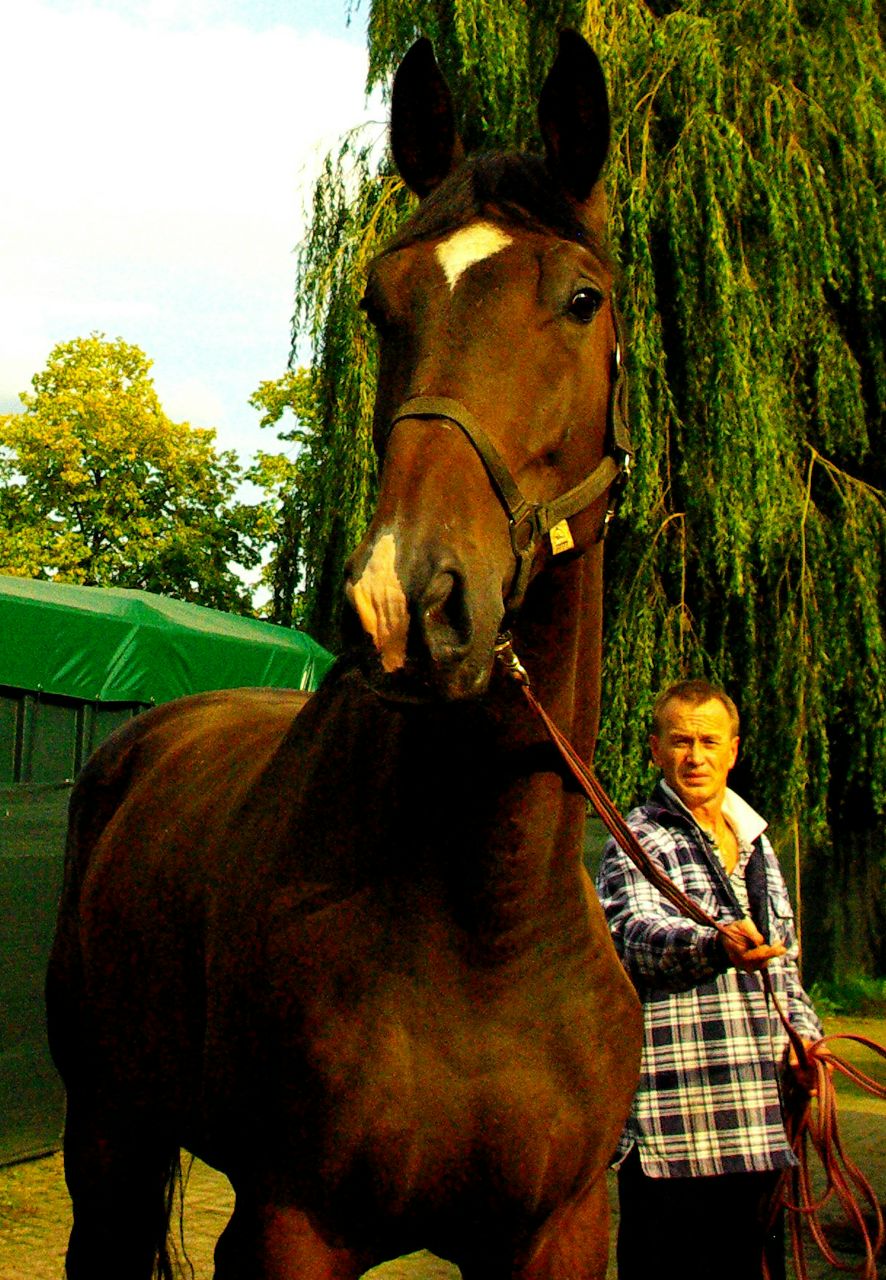 Vladimir Kouznetsov | Venlo
