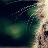 №20, Майя Бадрак, 40 лет №20, Майя Бадрак, 40 лет