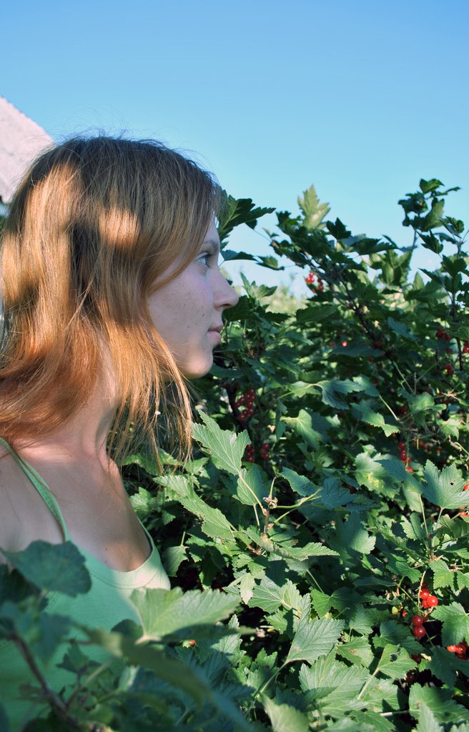 Ольга Данилова ...Колючка... | Санкт-Петербург