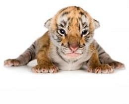 №50, Екатерина Васильева, 35 лет, Бугульма №50, Екатерина Васильева, 35 лет, Бугульма