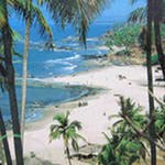 Максим Крутиков | Бийск