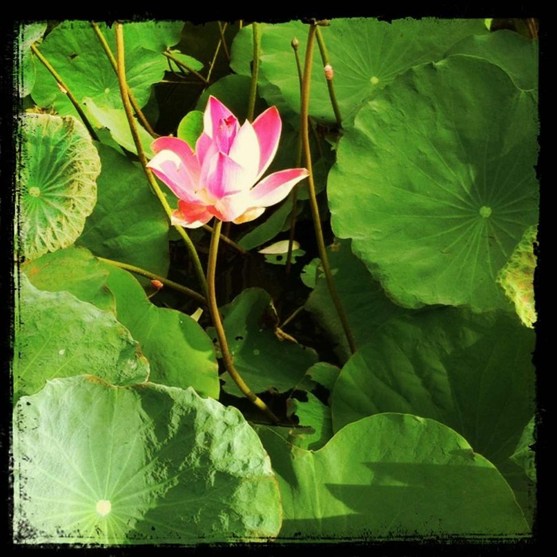 Ольга Малышева | Москва