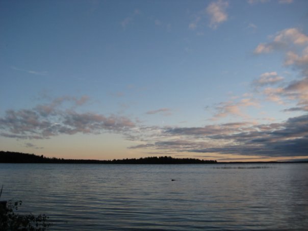 Максим Медяков | Фрязино