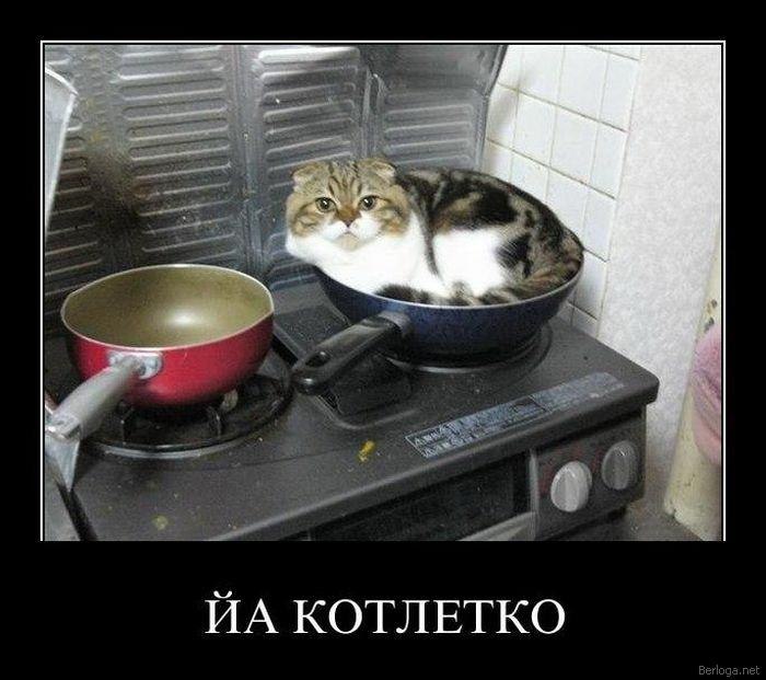 Олег Савенко Николаевич | Каменское / Днепродзержинск