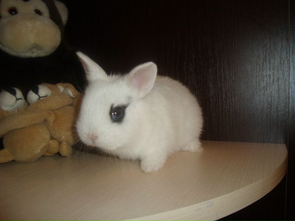 №128, Танюся Витрук, Киев №128, Танюся Витрук, Киев