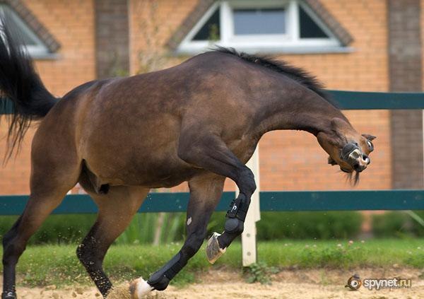 Рамзил Валиев | Казань