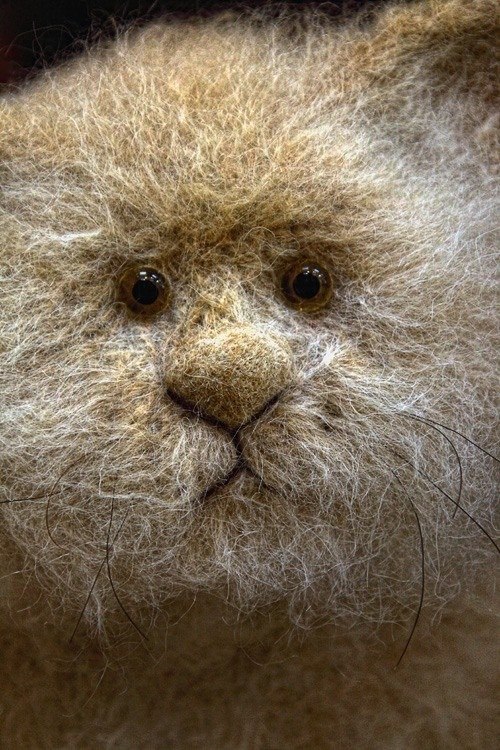 Мария Попова | Москва