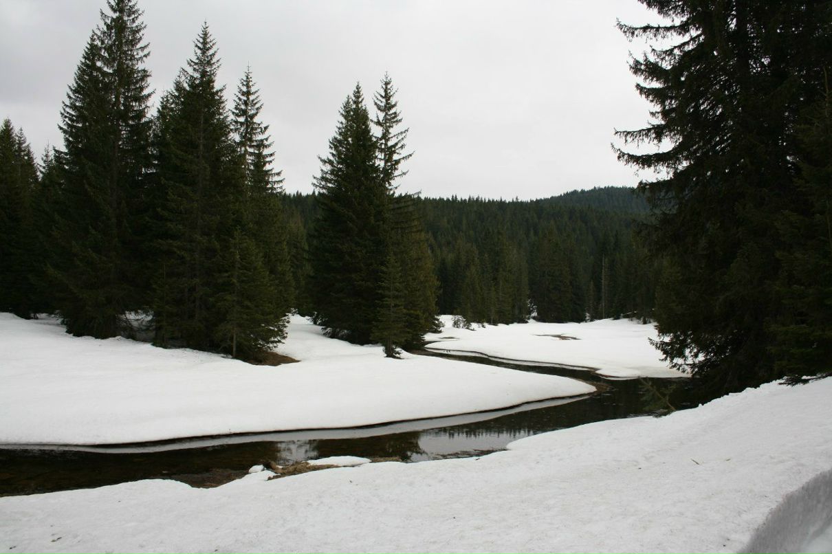 Владимир Бондаренко Orange | Москва