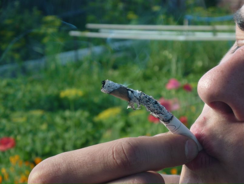 №13, Лёлик Сергеевич №13, Лёлик Сергеевич