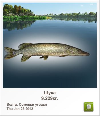 Александр Гранкин | Железногорск