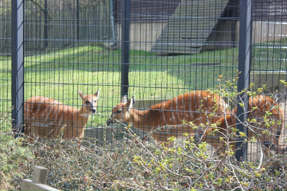 Кирилл Смирнов | Санкт-Петербург