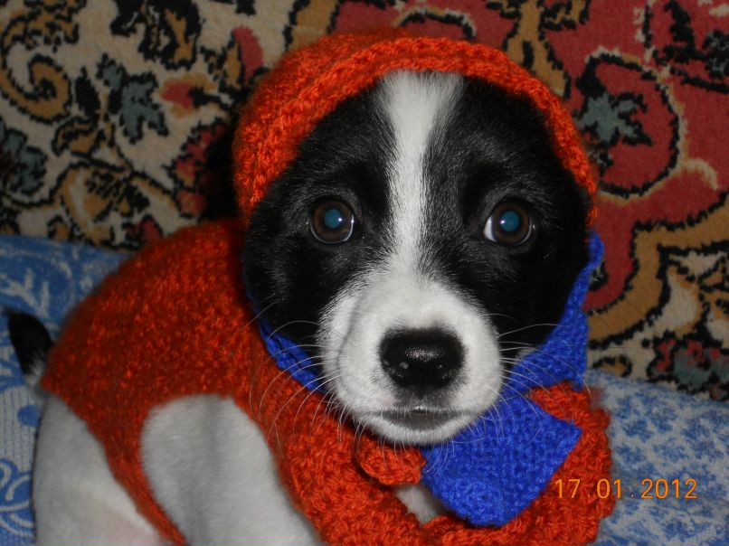 Виктория Пулина | Симферополь