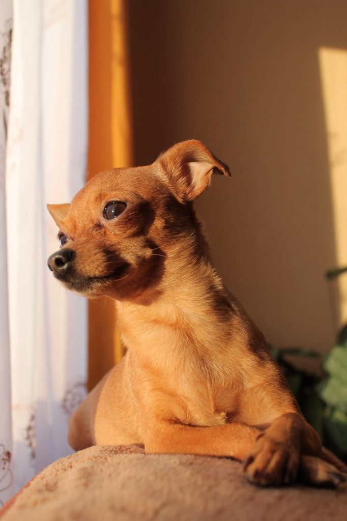 Александр Никитич | Омск