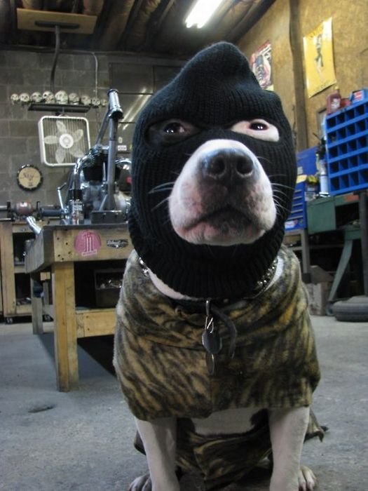 Галина Соловьева | Санкт-Петербург