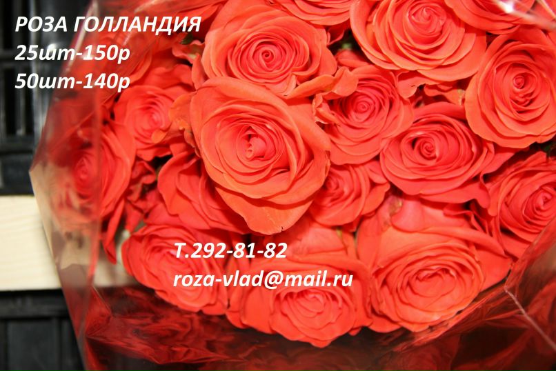 Павел Приступа | Владивосток