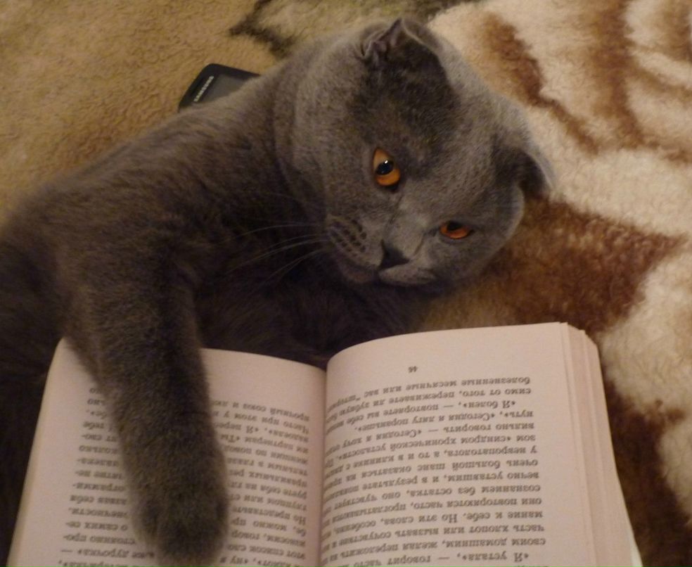 Виктория Журавлева | Новосибирск