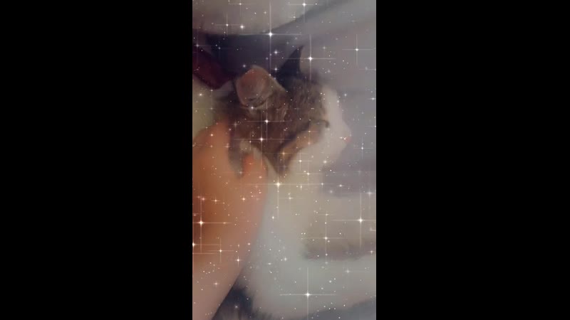 Snapchat-1633813442.mp4