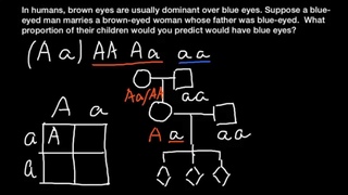 Eye color genetic problem and solution