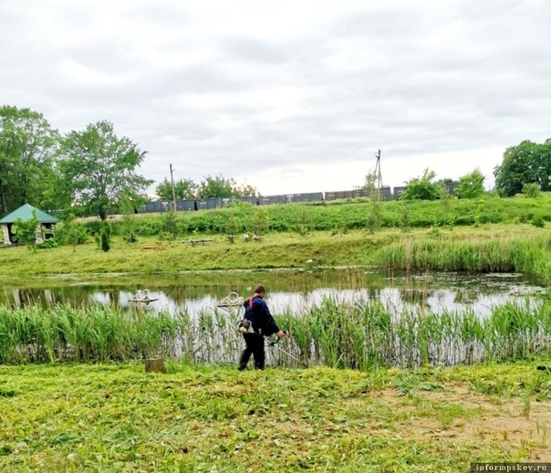 новоселье псковская область стругокрасненский район. станция новоселье стругокрасненского района псковской области. струги-красные псковская область. сайт струго-красненского района. новоселье струги красные.