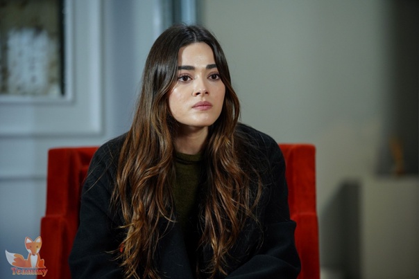 Сериал Дикий