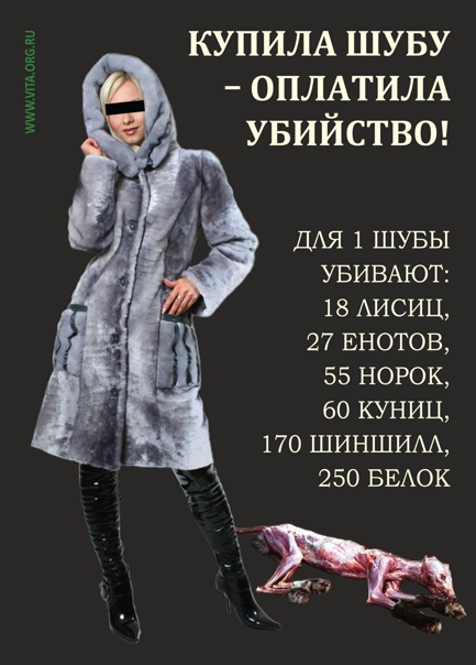 К чему снится одевать шубу К чему снится одевать шубу