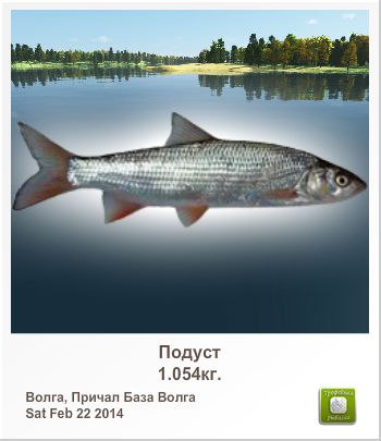 Alex True | Санкт-Петербург