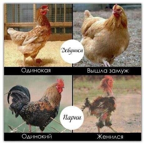 Света Балясина | Санкт-Петербург