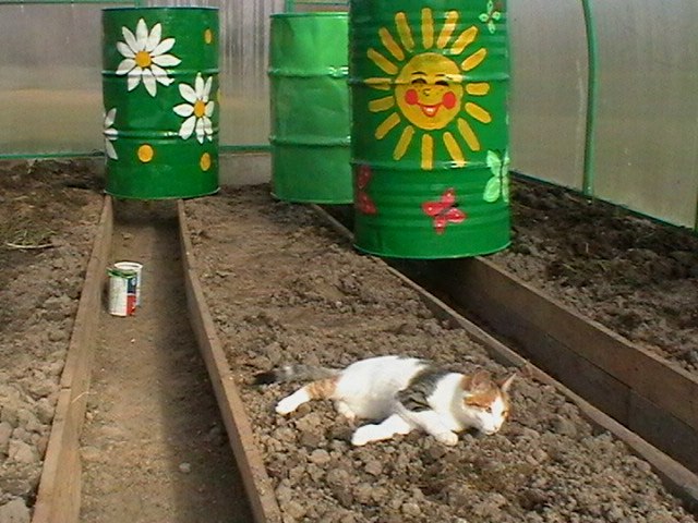 Наталья Аверьянова | Нелидово