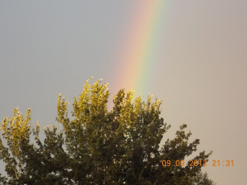 Инна Гусева | Новый Уренгой