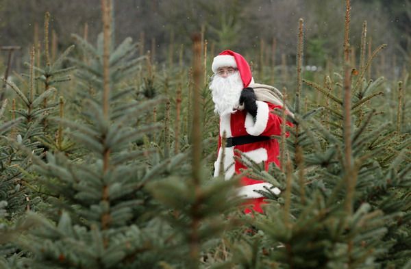 Алексей Ковалёв | Лиски