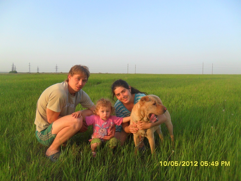 Сергей Зеленый | Доброполье