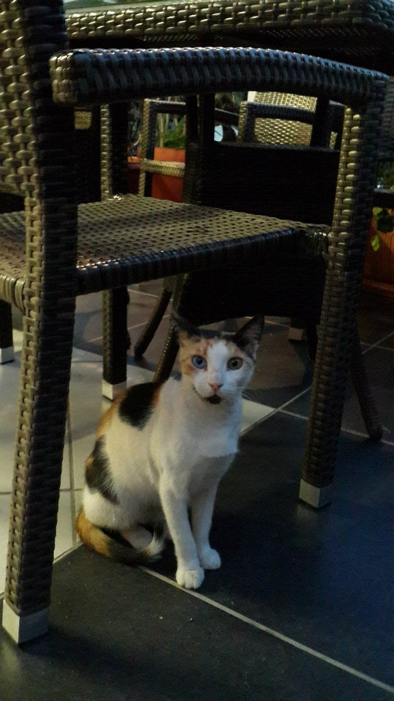 Ирина Силинская | Москва