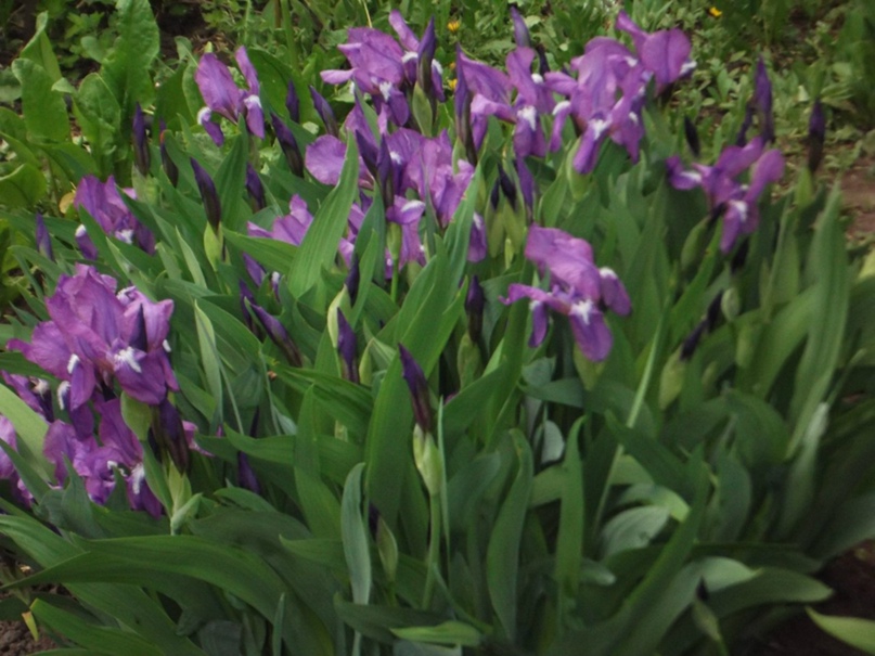 Елена Абрамцева | Самара