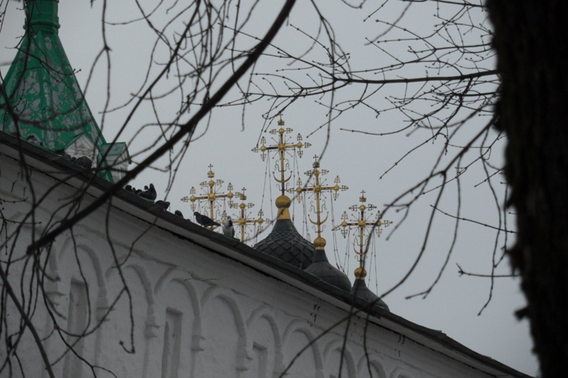 Тамара Антонова | Вологда