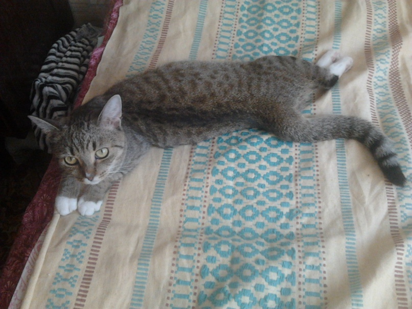 Анастасия Баева | Беломорск