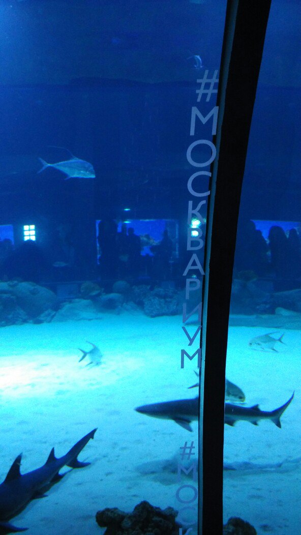 Марина Нестерова | Чебоксары