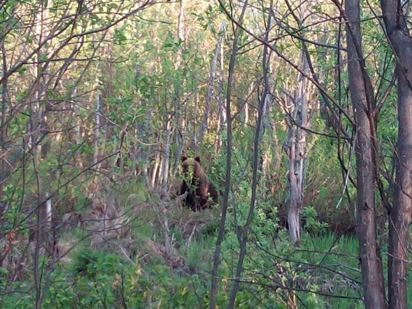 Ольга Русакова | Архангельск