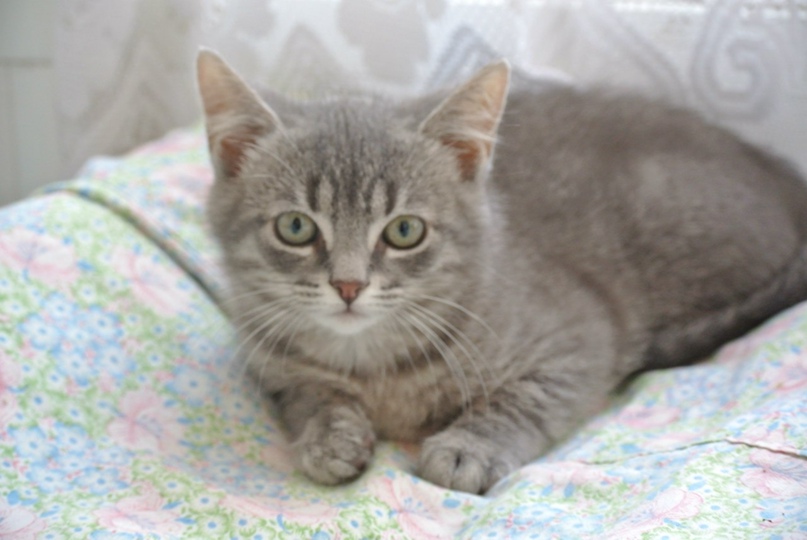 Юлия Батулина | Санкт-Петербург