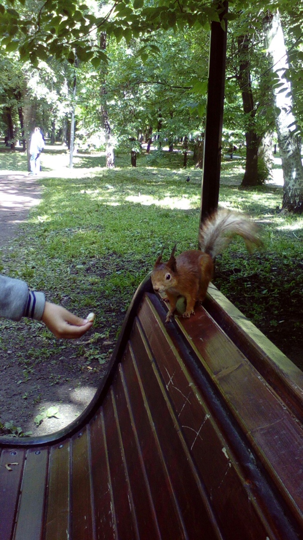 Александр Галкин |