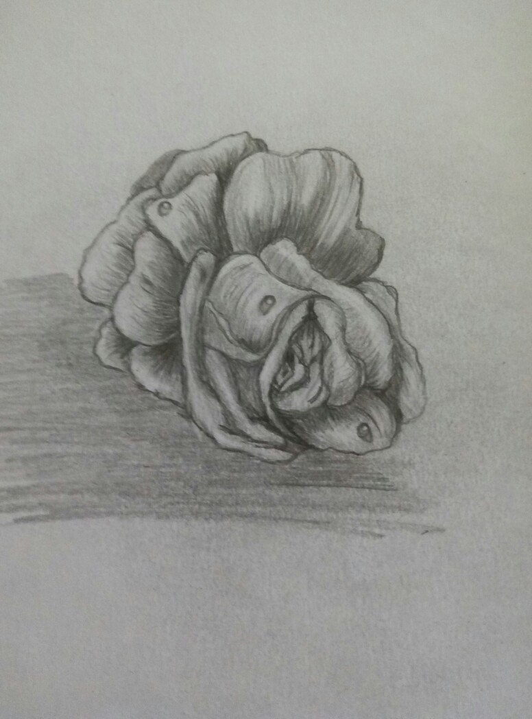 Екатерина Арутюнова | Мурманск