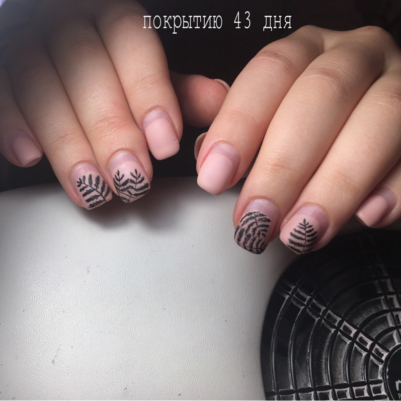 Мария Пшеничная | Рязань