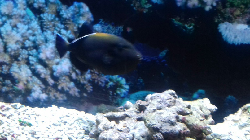 Аня Дмитриева | Санкт-Петербург